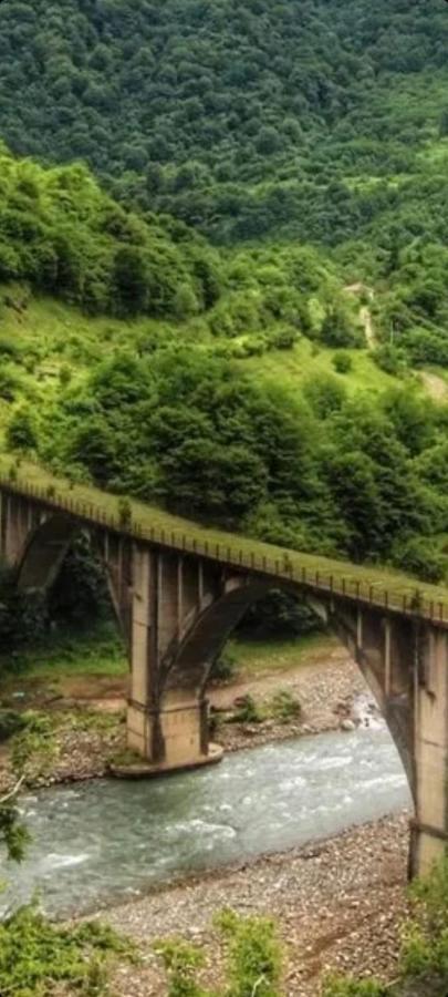 Белый Лотос Gagra Kültér fotó